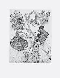 Galerie Lochner, KA7: Günter Grass, Ausstellung